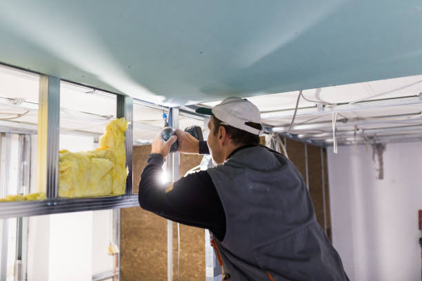 Best Eco-Friendly or Green Insulation Solutions  in Maple Heights, OH