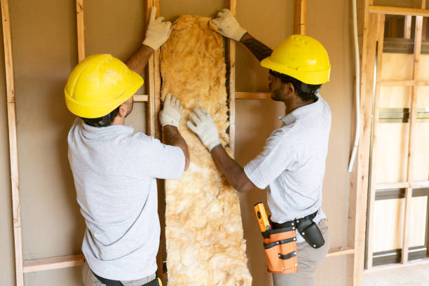 Best Blown-In Insulation  in Maple Heights, OH